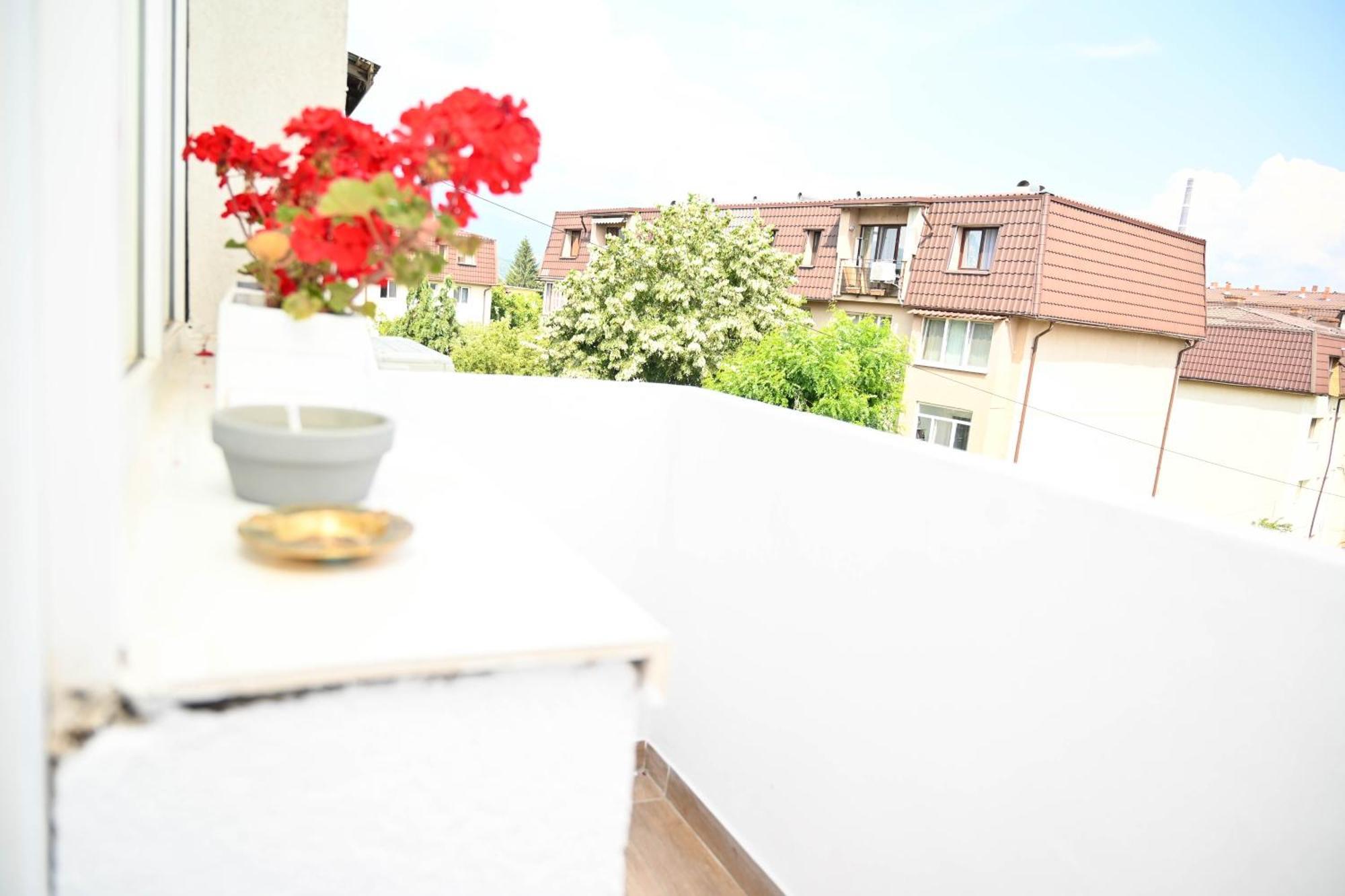Dreambed 2 Apartment Baia Mare Exterior photo